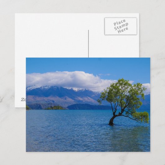Der Wanaka Baum, See Wanaka, NZ - Postkarte (Vorne/Hinten)