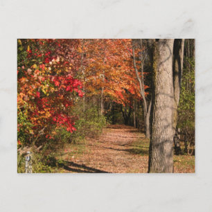 Der Wanderweg Postkarte