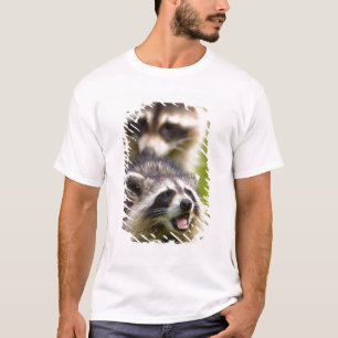 Der Waschbär, Procyon lotor, ist ein weit verbreit T-Shirt