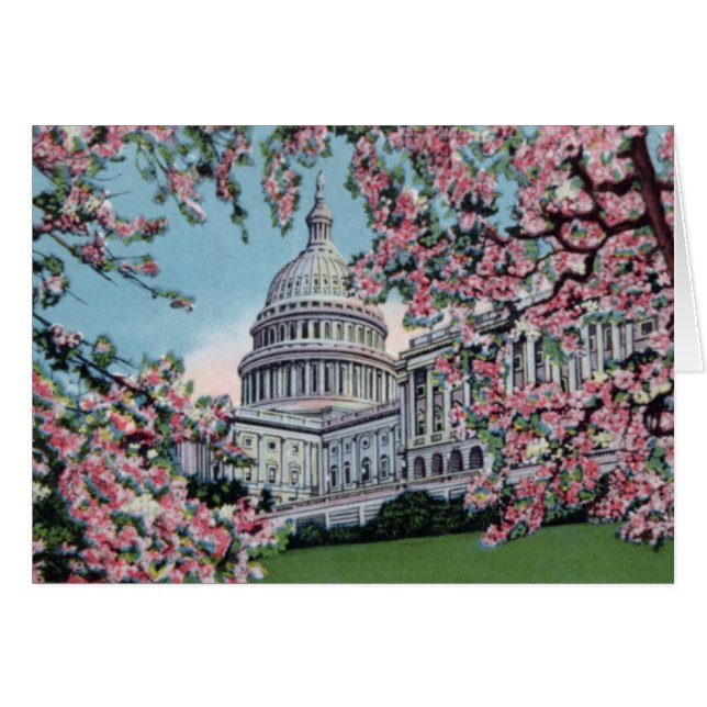 Der Washington DC-Capitol- Hillkirschblüten (Vorderseite (Horizontal))