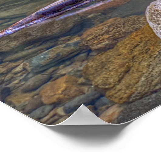 Der Wasserfall des Teufels Poster (Ecke)