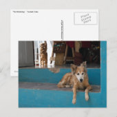 Der Watchdog. Postkarte (Vorne/Hinten)