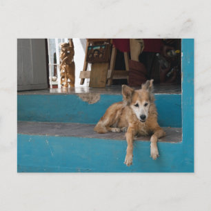 Der Watchdog. Postkarte
