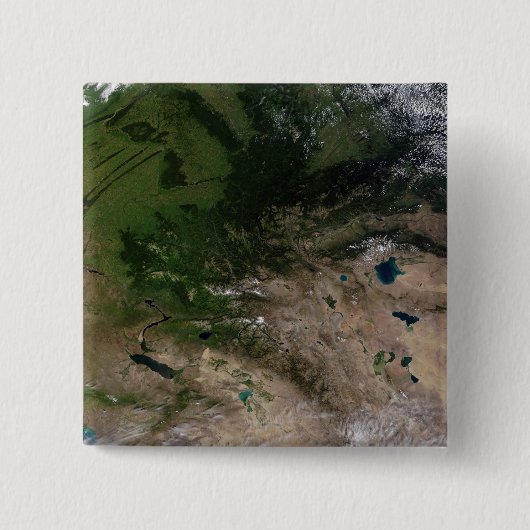 Der Wechsel der Vegetation Button (Vorderseite)