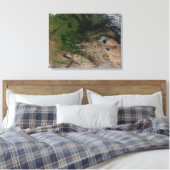 Der Wechsel der Vegetation Leinwanddruck (Insitu (Schlafzimmer))