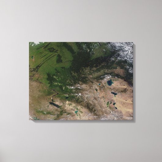 Der Wechsel der Vegetation Leinwanddruck (Vorderseite)