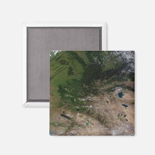 Der Wechsel der Vegetation Magnet (Vorderseite/Rückseite)