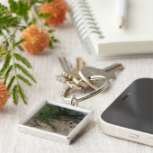 Der Wechsel der Vegetation Schlüsselanhänger (Seite)