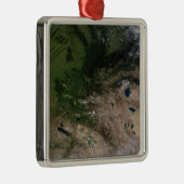 Der Wechsel der Vegetation Silbernes Ornament (Rechts)