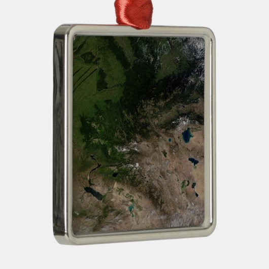 Der Wechsel der Vegetation Silbernes Ornament (Rechts)