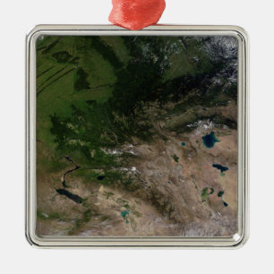 Der Wechsel der Vegetation Silbernes Ornament