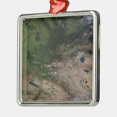 Der Wechsel der Vegetation Silbernes Ornament (Links)