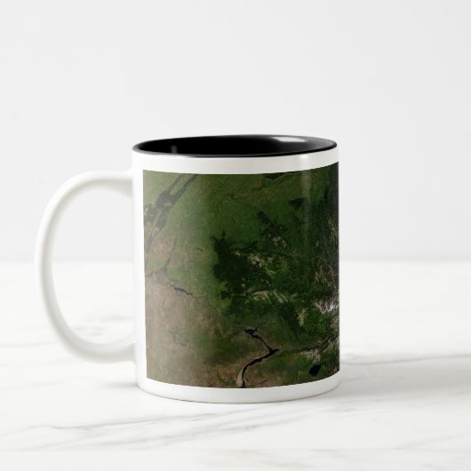 Der Wechsel der Vegetation Zweifarbige Tasse (Links)
