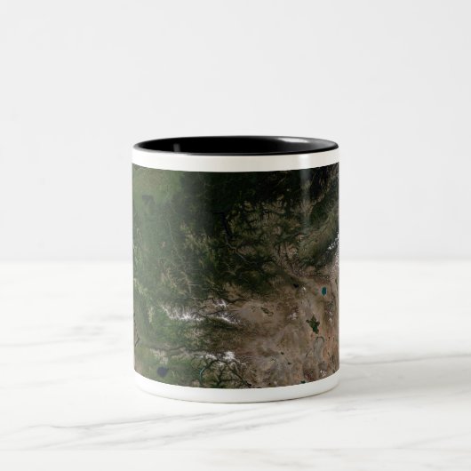 Der Wechsel der Vegetation Zweifarbige Tasse (Mittel)