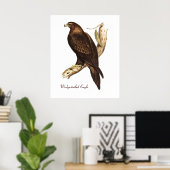 Der Wedge schwänzte Adler. Ein großartiger Bird of Poster (Heimbüro)