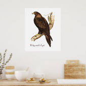 Der Wedge schwänzte Adler. Ein großartiger Bird of Poster (Küche)