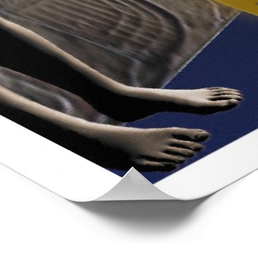 Der Weg der Evolution Poster (Ecke)