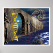 Der Weg der Evolution Poster (Vorne)