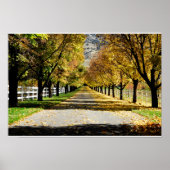 Der Weg der Farben Poster (Vorne)