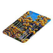 Der Weg durch das Aspens Magnet (Linke Seite)