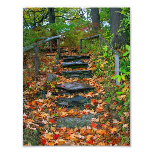 Der Weg Fotodruck (Vorne)