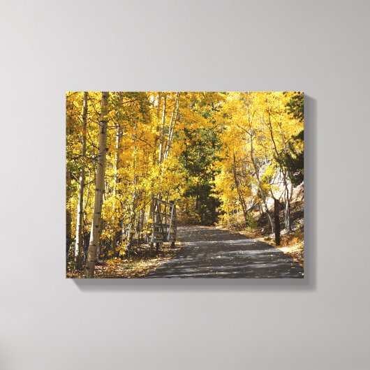 Der Weg geht durch die Aspen Leinwanddruck (Vorderseite)