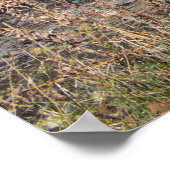 Der Weg hindurch Poster (Ecke)