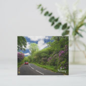Der Weg nach Killarney - Irland Postkarte (Stehend Vorderseite)
