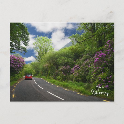 Der Weg nach Killarney - Irland Postkarte (Vorderseite)