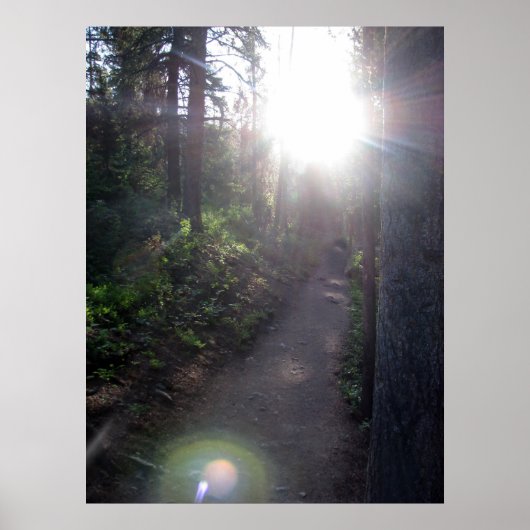 Der Weg Poster (Vorne)