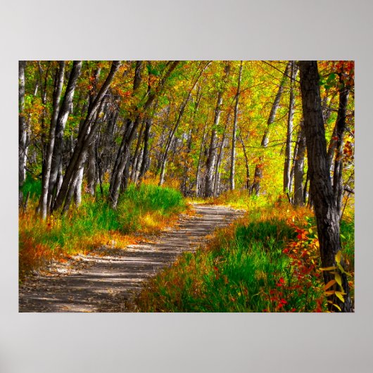 Der Weg Poster (Vorne)