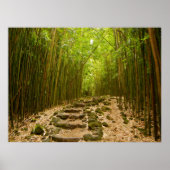 Der Weg Poster (Vorne)