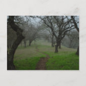 Der Weg Postkarte (Vorderseite)