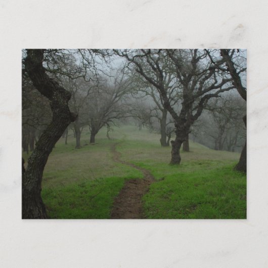 Der Weg Postkarte (Vorderseite)