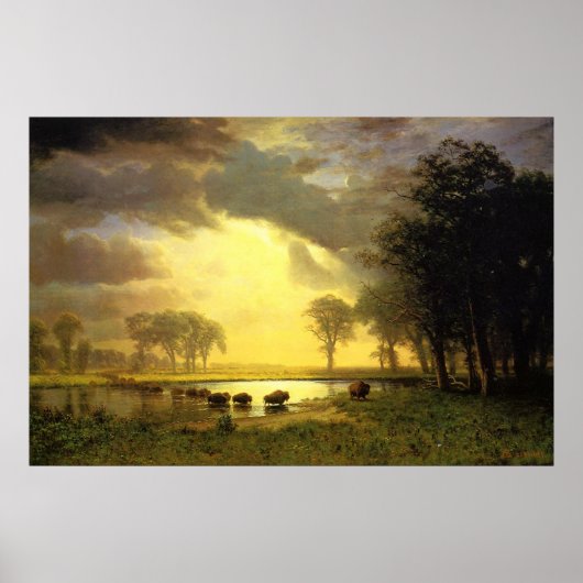 Der Weg vom Buffalo Poster (Vorne)