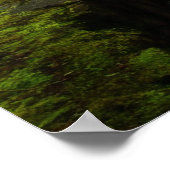 Der Weg zu Latourell Falls Poster (Ecke)