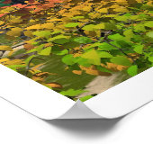 Der Weg zum Frieden Poster (Ecke)