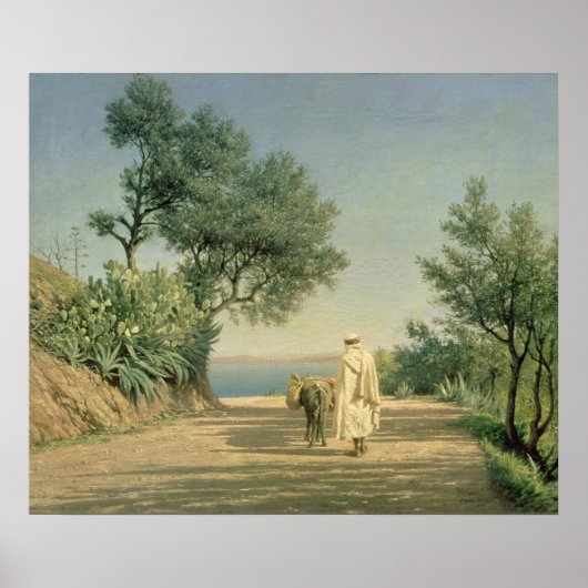 Der Weg zum Meer, Algerien, 1883 Poster (Vorne)