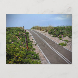 Der Weg zum Meer: Ein stiller Strandzugang Postkarte