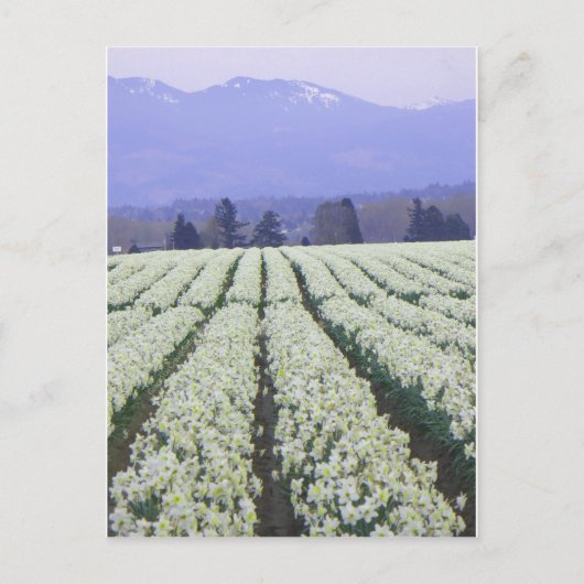 Der Weg zum Paradies Postkarte (Vorderseite)