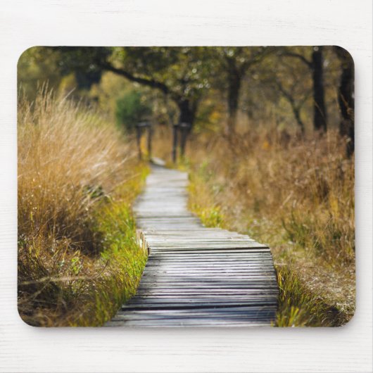 Der Weg zum Zen Mousepad (Vorne)