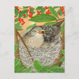 Der weibliche Blackbird Postkarte