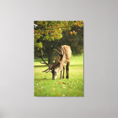 Der Weidestag Leinwanddruck (Vorderseite)