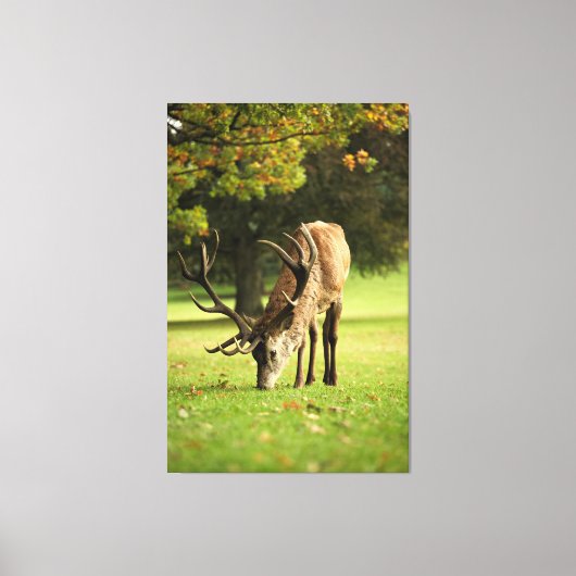 Der Weidestag Leinwanddruck (Vorderseite)