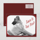 Der Weihnachtsmann ist für dich Feiertagspostkarte (Vorne/Hinten)
