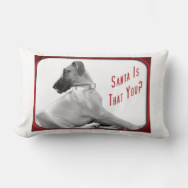 Der Weihnachtsmann ist für dich Lendenkissen