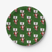 Der Weihnachtsmann mit dem Abzeichen von Illinois Pappteller (Vorderseite)