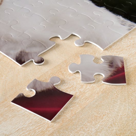 Der Weihnachtsmann überprüft sein Listenpuzzle Puzzle (Seite)