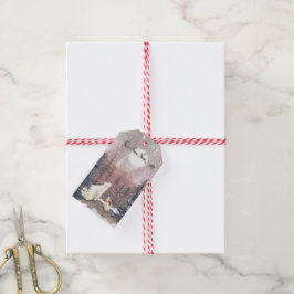 Der Weihnachtsmann und die Polar Geschenkanhänger