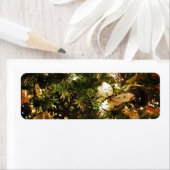 Der Weihnachtsschmetterling (Insitu)